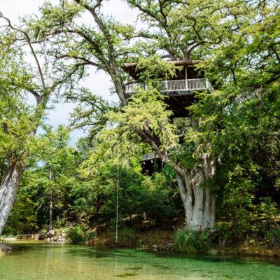 frio river treetop